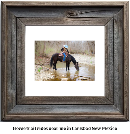 horse trail rides near me in Carlsbad, New Mexico